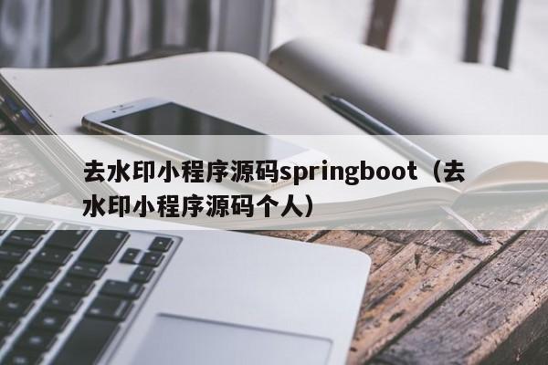 去水印小程序源碼springboot（去水印小程序源碼個人）